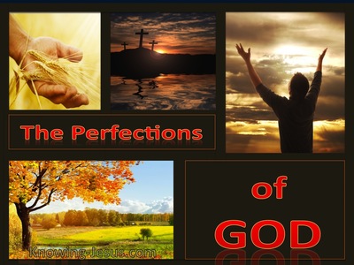 The Perfections of God (devotional) (red)